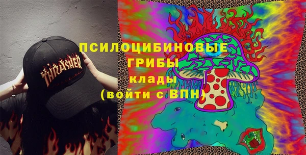 прущие грибы Сосновый Бор