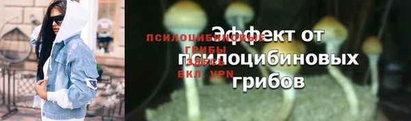 дурь Сосновка
