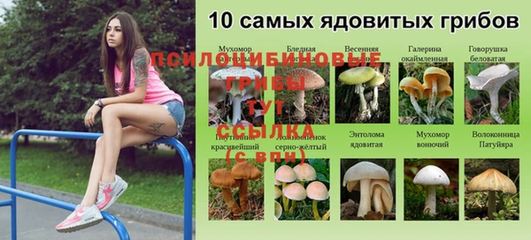 MESCALINE Алексеевка