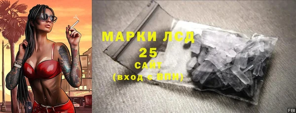 СК Алексин