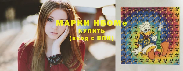 прущие грибы Сосновый Бор