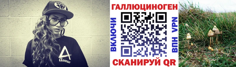Псилоцибиновые грибы прущие грибы Купить Заречный